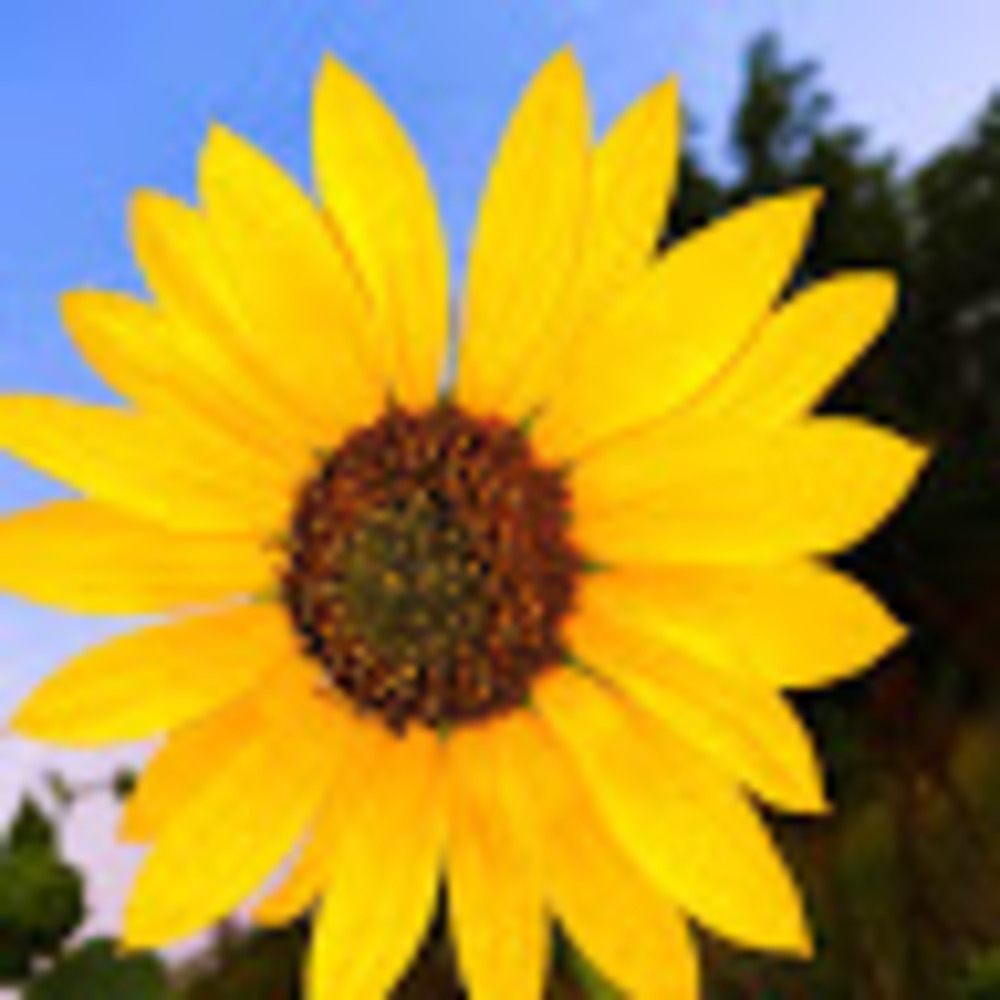 Meet your Posher, Ciara